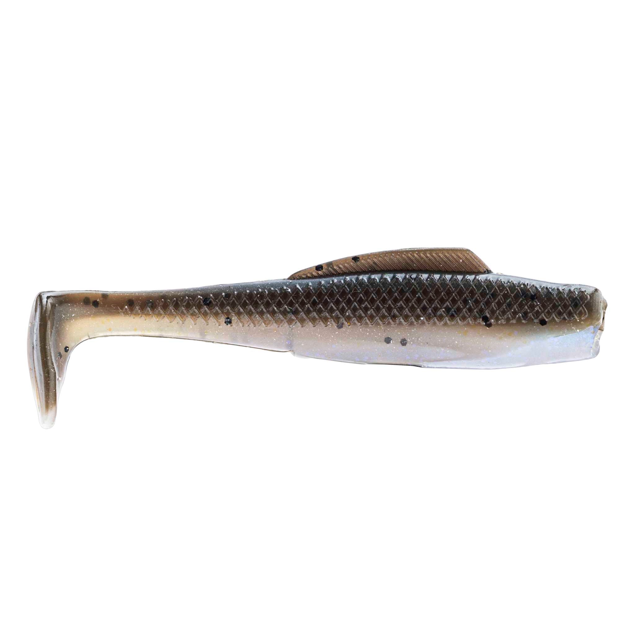 MinnowZ™ - Image 13